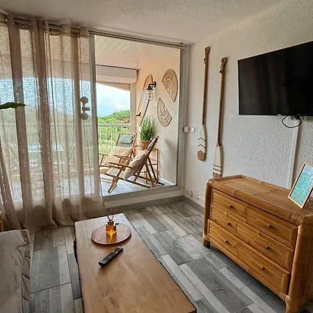 Belle Vue Mer, 90 M, Parking, Loggia, Wifi. Agde